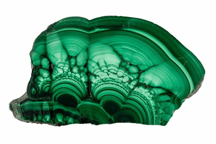 Polished Malachite Slab - Congo #193306